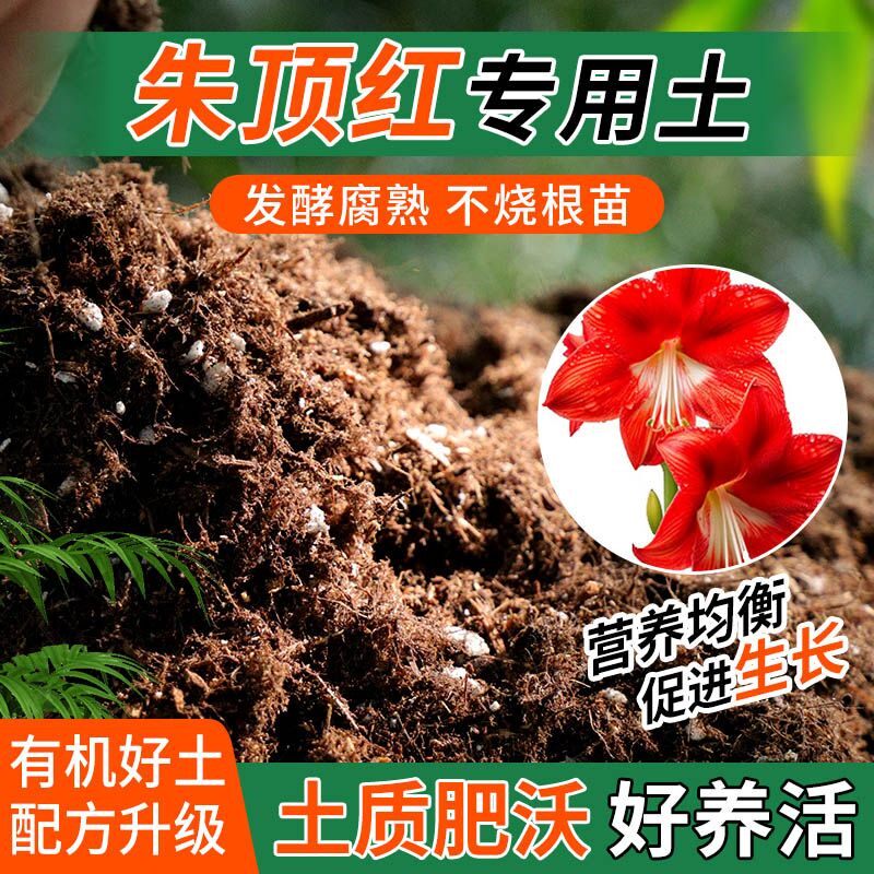 朱顶红专用土种植士营养土家庭阳台养花盆栽绿植轻质有机肥料土壤