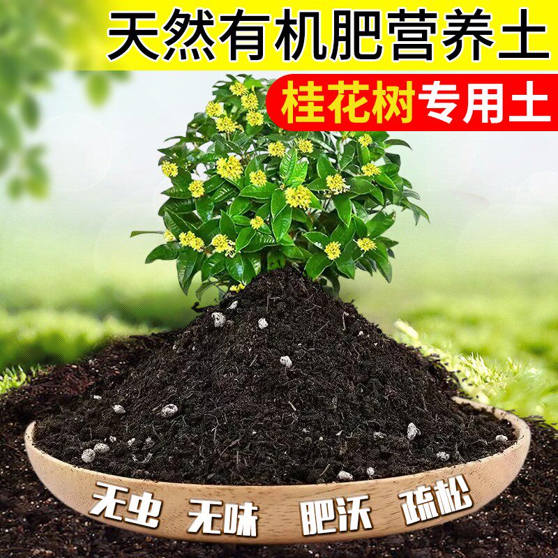 桂花树专用土桂花树专用营养土盆栽养花种植土壤肥料通用种花土培