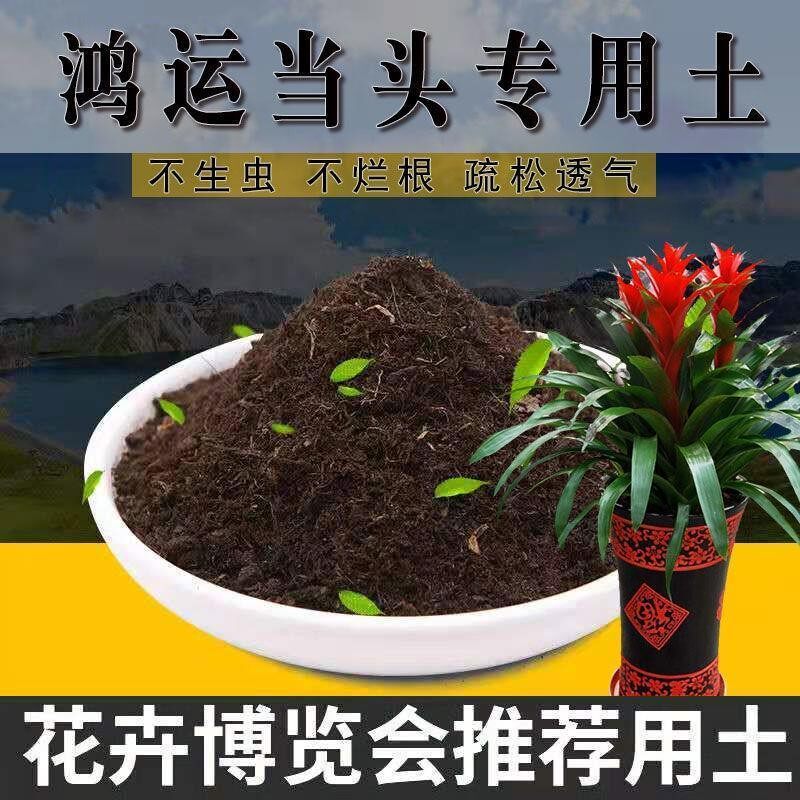 鸿运当头专用土花肥料凤梨种花卉通用盆栽营养土酸性养花卉种植土