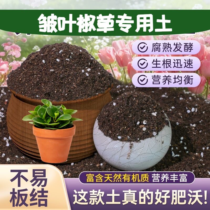 皱叶椒草专用含泥炭保水锁肥家庭园艺加有机肥无菌防徒长多肉大包