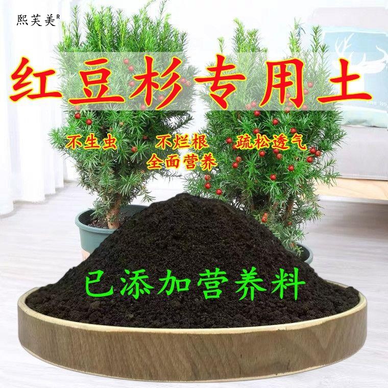 红豆杉专用土红豆杉专用营养土盆栽养花种花土通用种植土酸性透气