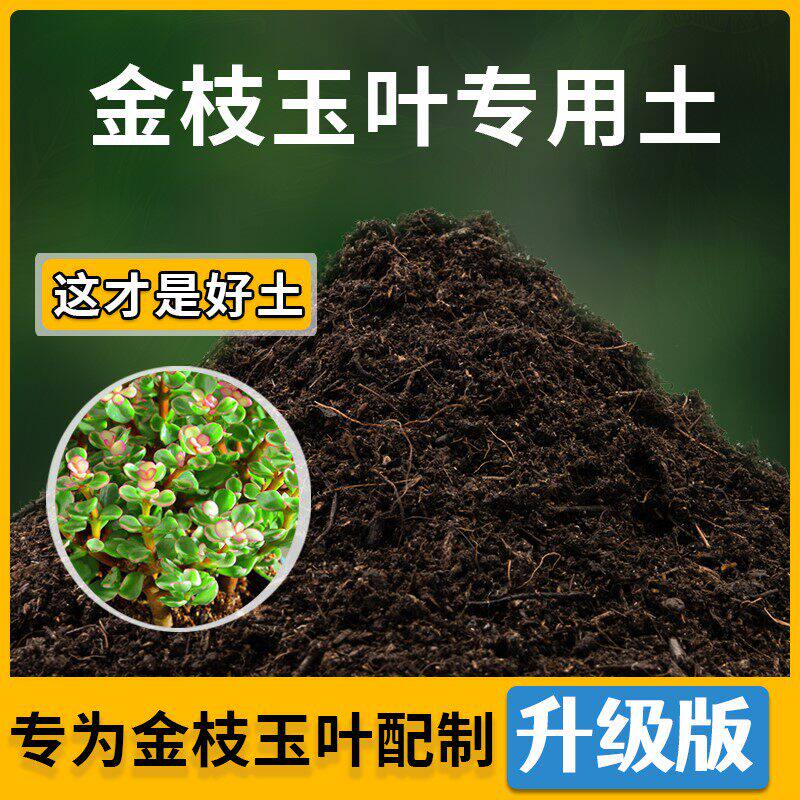 金枝玉叶专用土家用种植土金枝玉叶营养土盆栽种花养花有机土肥料