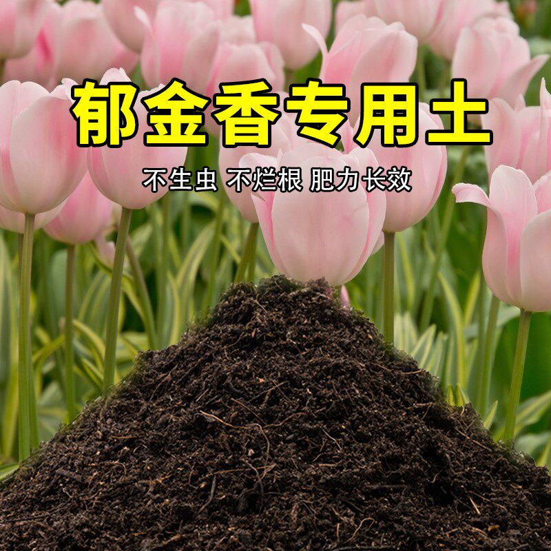 郁金香专用土家用养花有机土壤种植土肥料种花盆栽土郁金香营养土