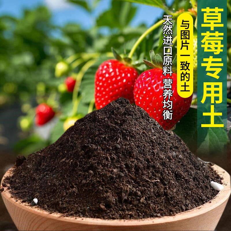 草莓专用土农业蔬果草莓专用营养土水果包邮有机土果苗蓬松种植土