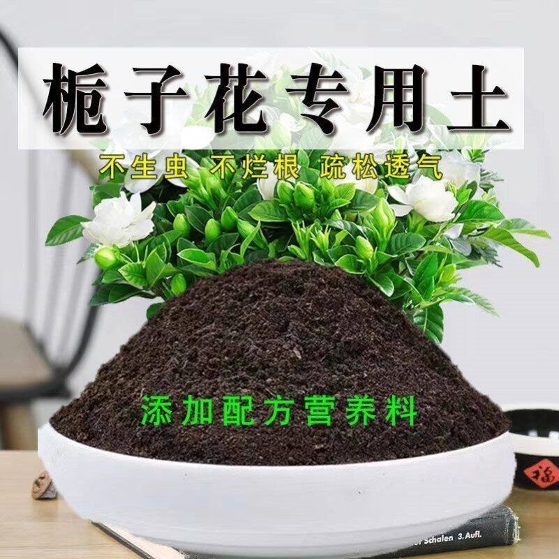 盆栽专用透气花土栀子花适