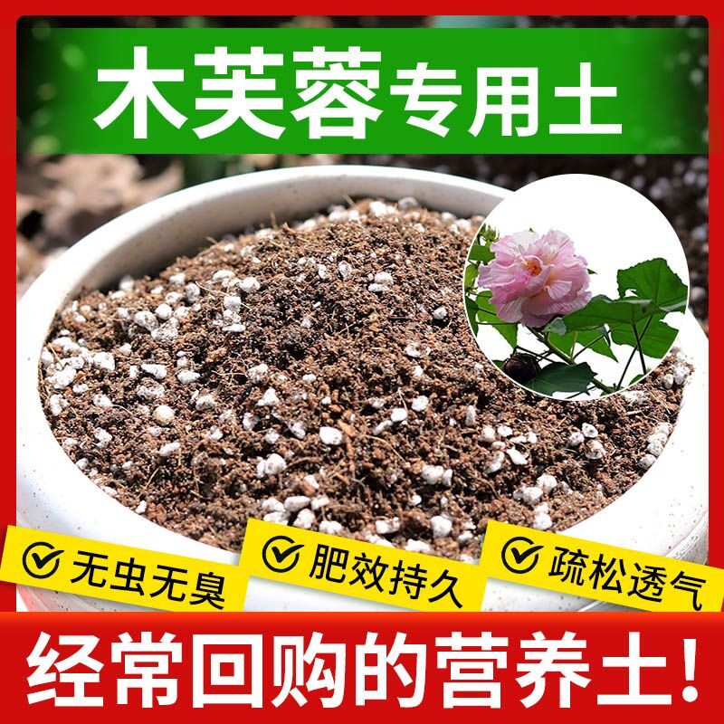 【木芙蓉专用土】专用营养土菜园菜地育苗种植土有机土绿植土壤