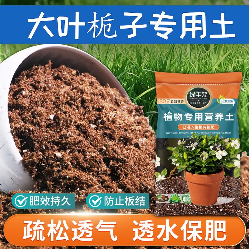 大叶栀子专用泥炭土排水顺畅屋顶盆栽土不易粉化增色无草籽观花