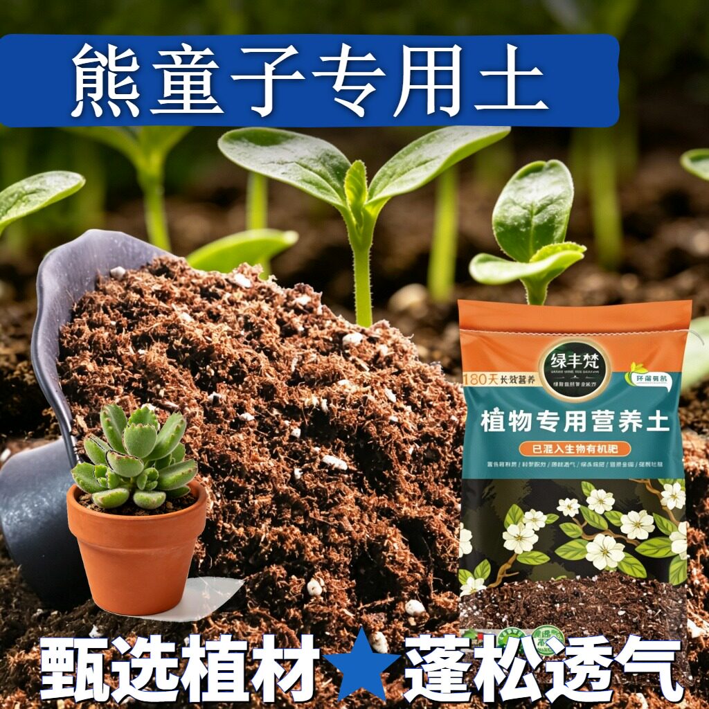 熊童子适用配方土促开花阳台营养土轻量基质留存水分实惠装观叶
