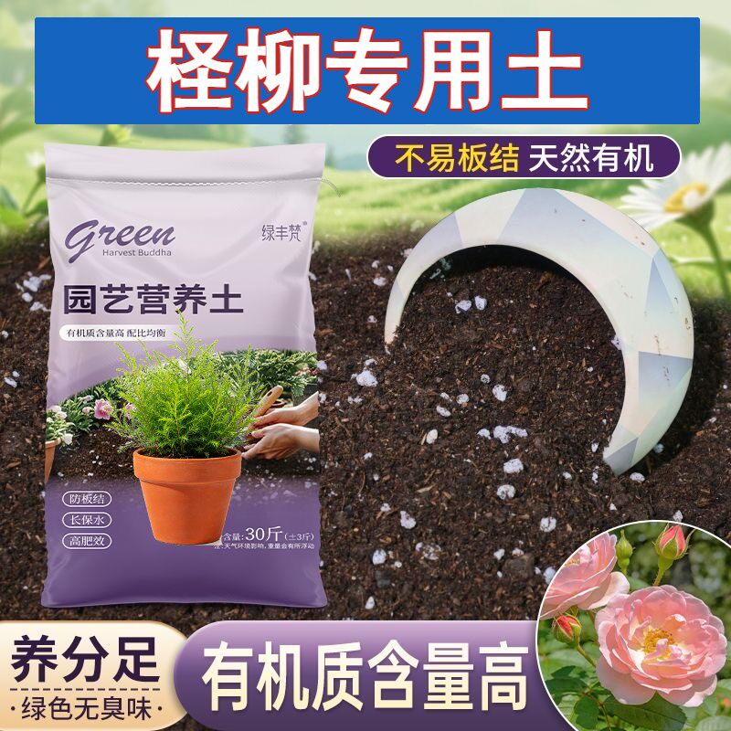 柽柳适用种植土不闷根保水保肥园艺加有机肥有机增色喜酸观叶优质
