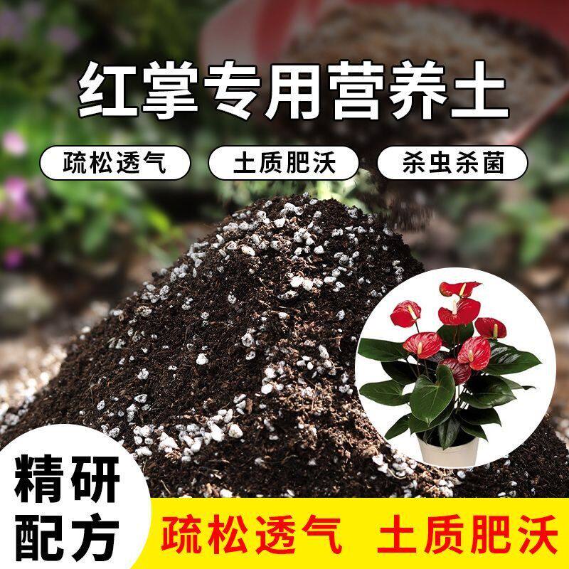 红掌专用土营养土通用种花养花多肉专用土营养土有机肥料养花土