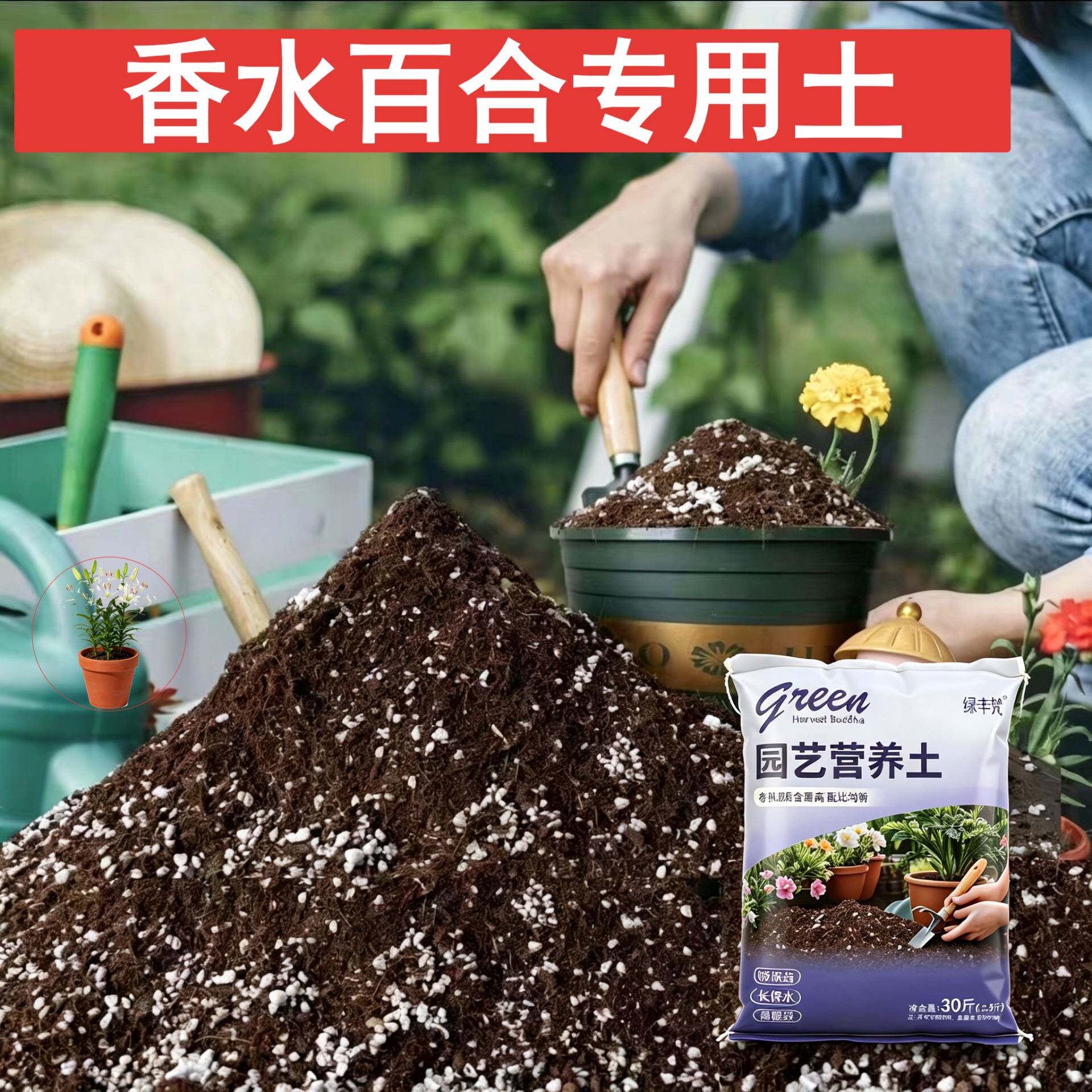 香水百合专用泥炭土保水保肥保水锁肥室内包邮进口促生长观叶观花