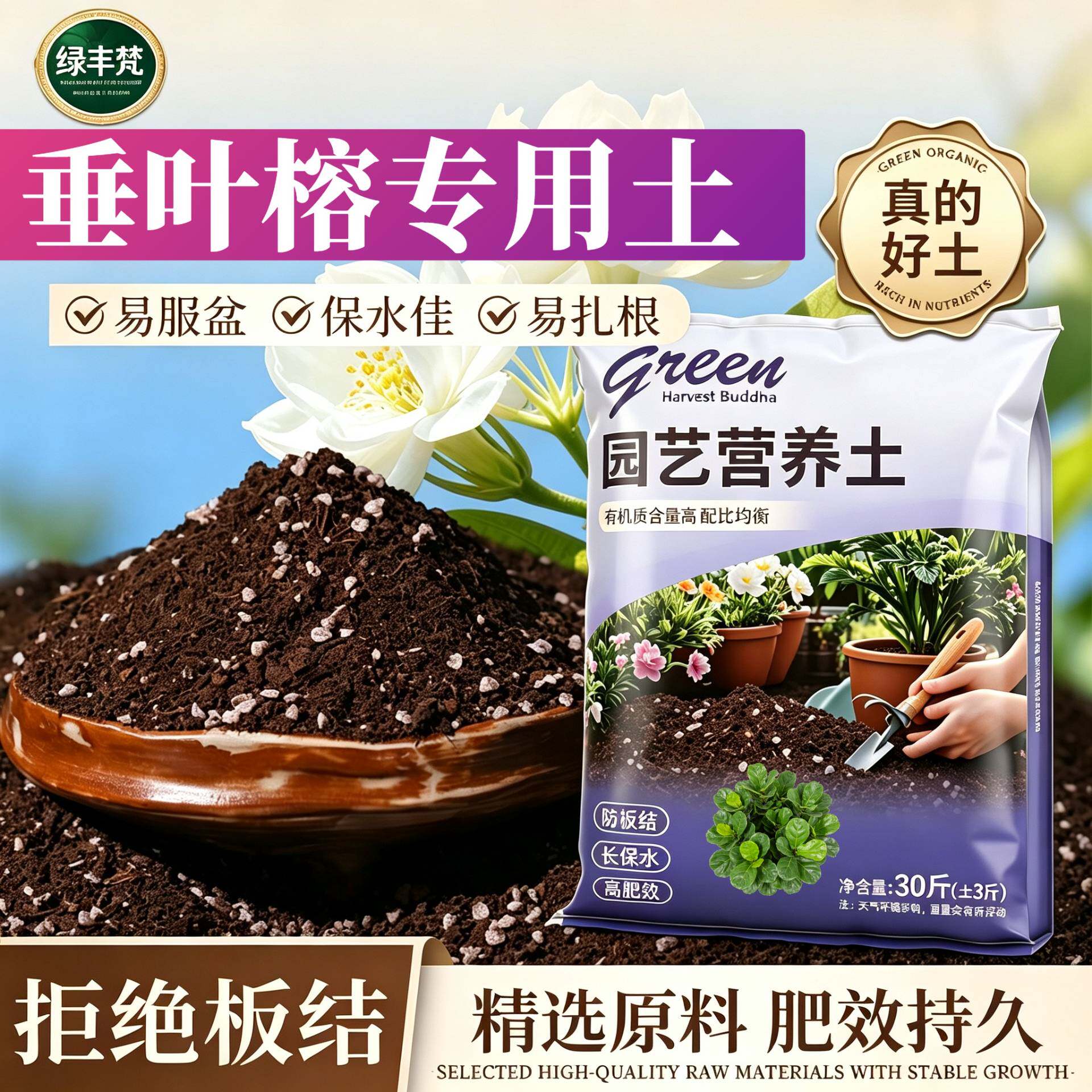 垂叶榕适用轻质土加珍珠岩根壮苗好阳台加有机肥无菌防黄叶喜酸