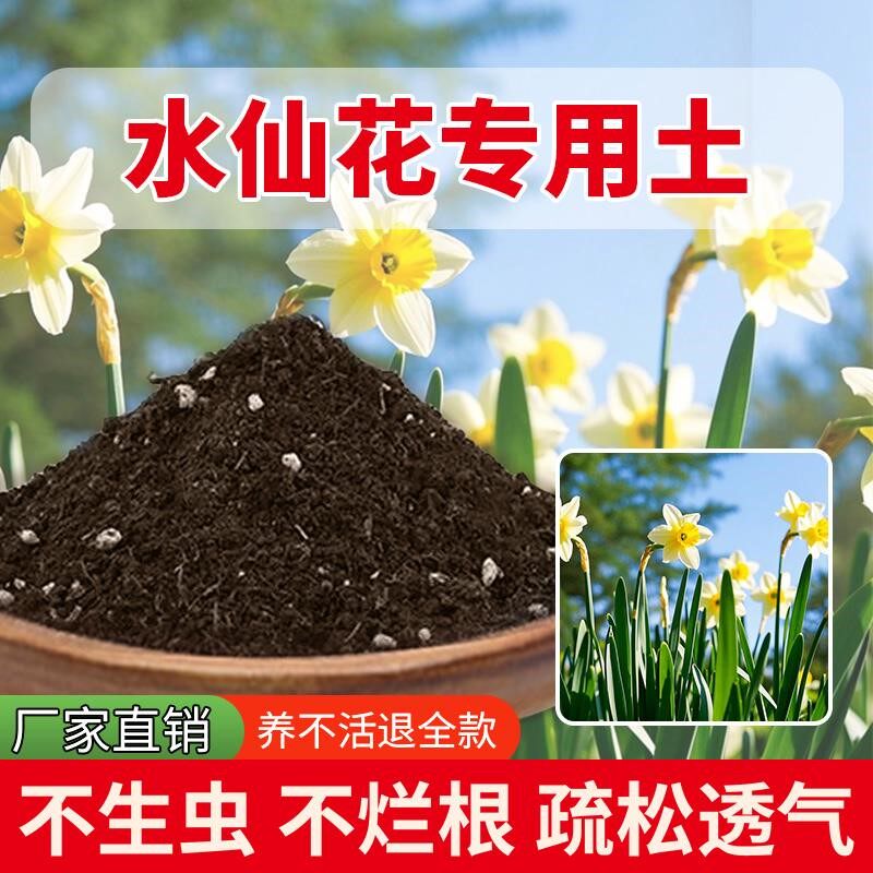 水仙花专用土家用花园透气花肥阳台园艺种植养花专用土泥土花卉
