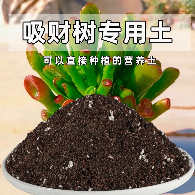 吸财树专用土吸财树土盆栽营养土通用种花养花泥土壤种植土有机肥
