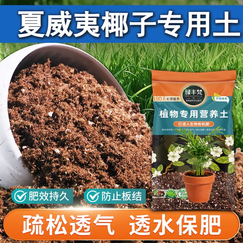 夏威夷椰子专用花泥促开花园艺盆栽土无菌绿叶无草籽观叶保护根系