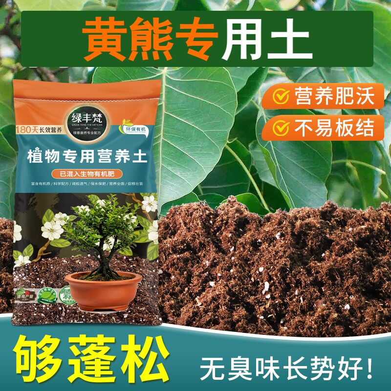 黄熊专用土壤疏松多孔花卉营养土精配原料提升排水开袋即用球根