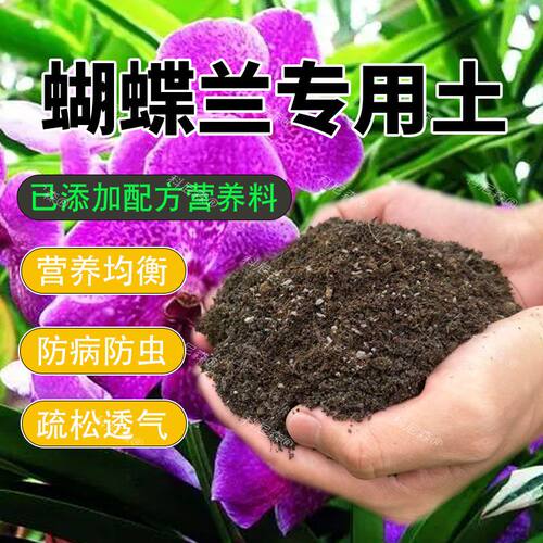 蝴蝶兰专用土水苔植料蝴蝶兰营养土盆栽种植颗粒松树皮兰花专用土
