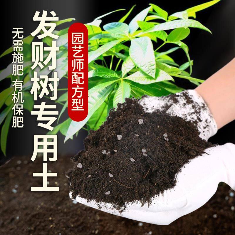 发财树专用土营养土发财树肥料椰砖绿植黑土透气植物养花鲜花泥土