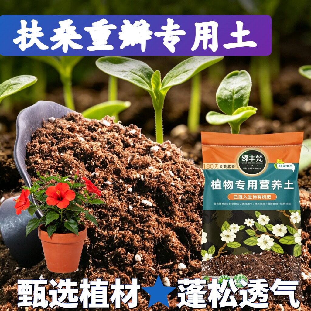 扶桑重瓣适用轻质土养分持久地栽种植土天然保护根系家用装球根
