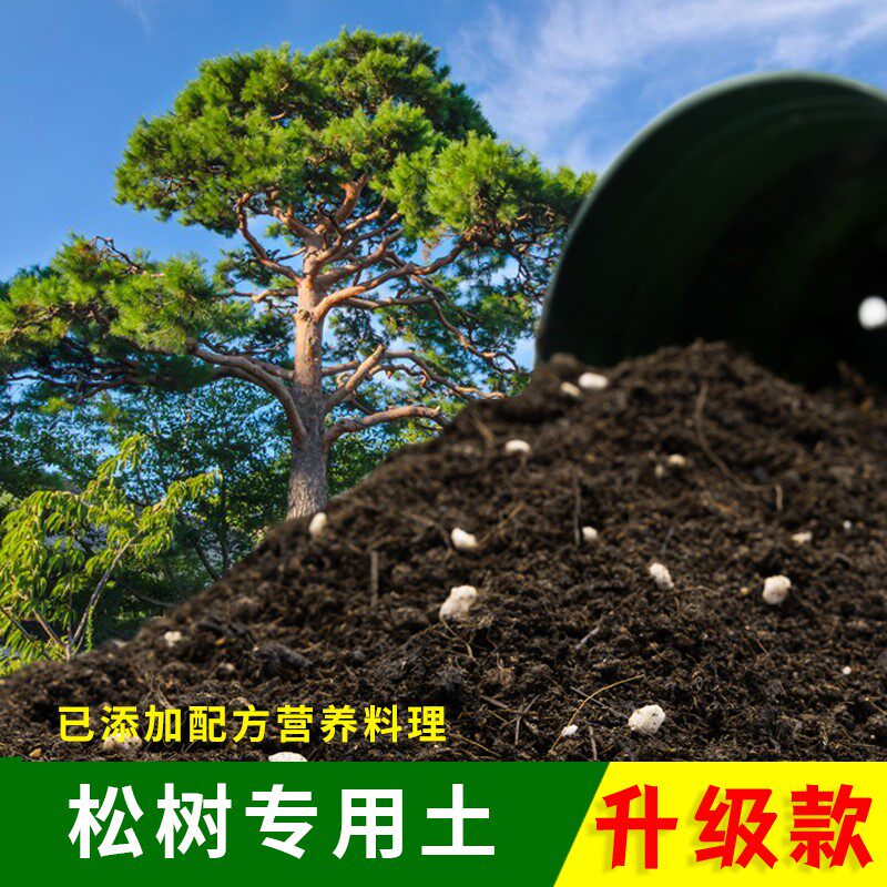 松树类专用土盆栽土肥料泥土罗汉松树营养土大树专用绿植种植土壤