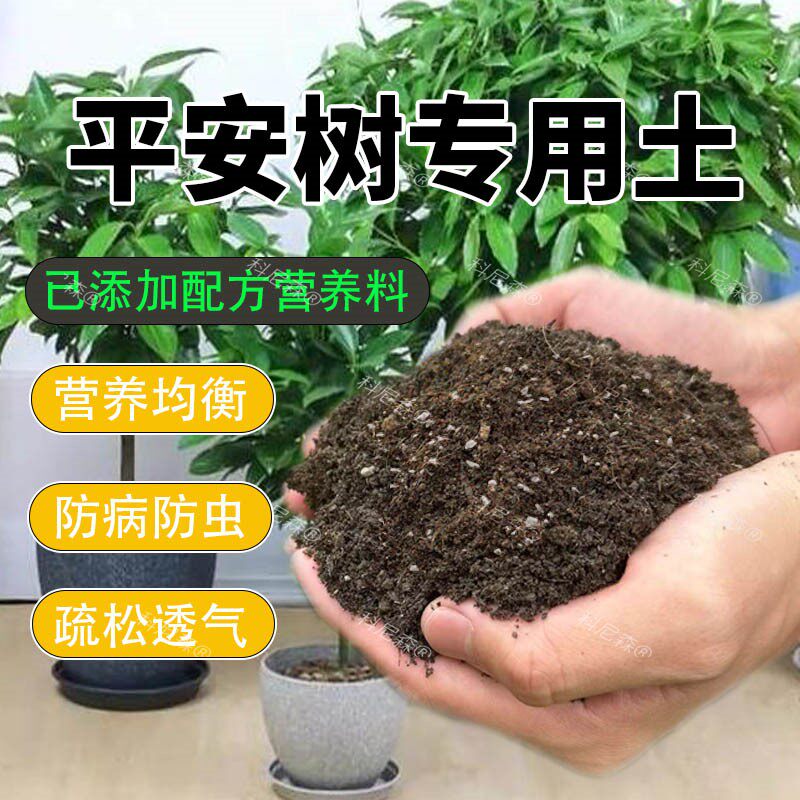 平安树专用土平安树营养土盆摘花卉培植土家用种植绿植有机肥料土