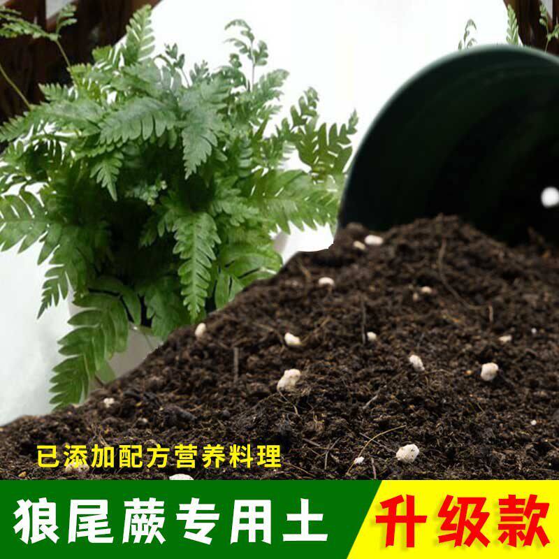 狼尾蕨专用土有机土肥料家用种植土狼尾蕨营养土盆栽养花通用包邮