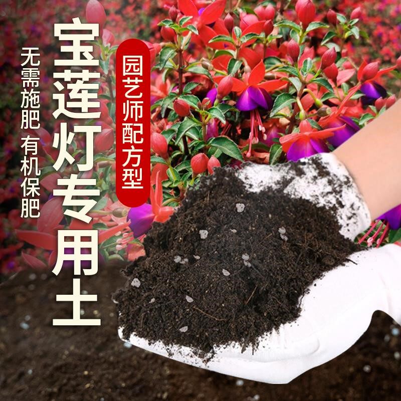 宝莲灯专用土肥料宝莲灯花营养土种花盆栽土壤家庭透气蓬松种植土