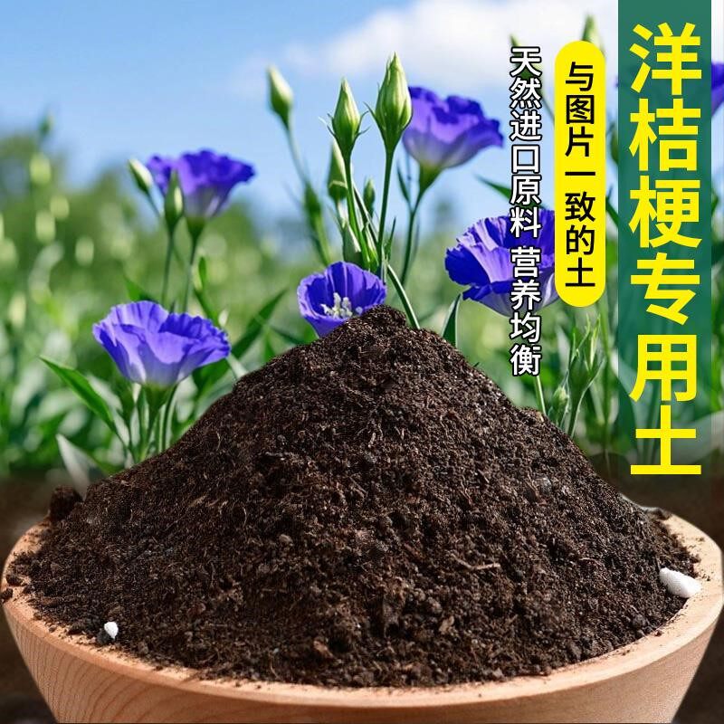 洋桔梗专用土土壤种菜室内养花专用土园艺发酵营养土种植土栽培土