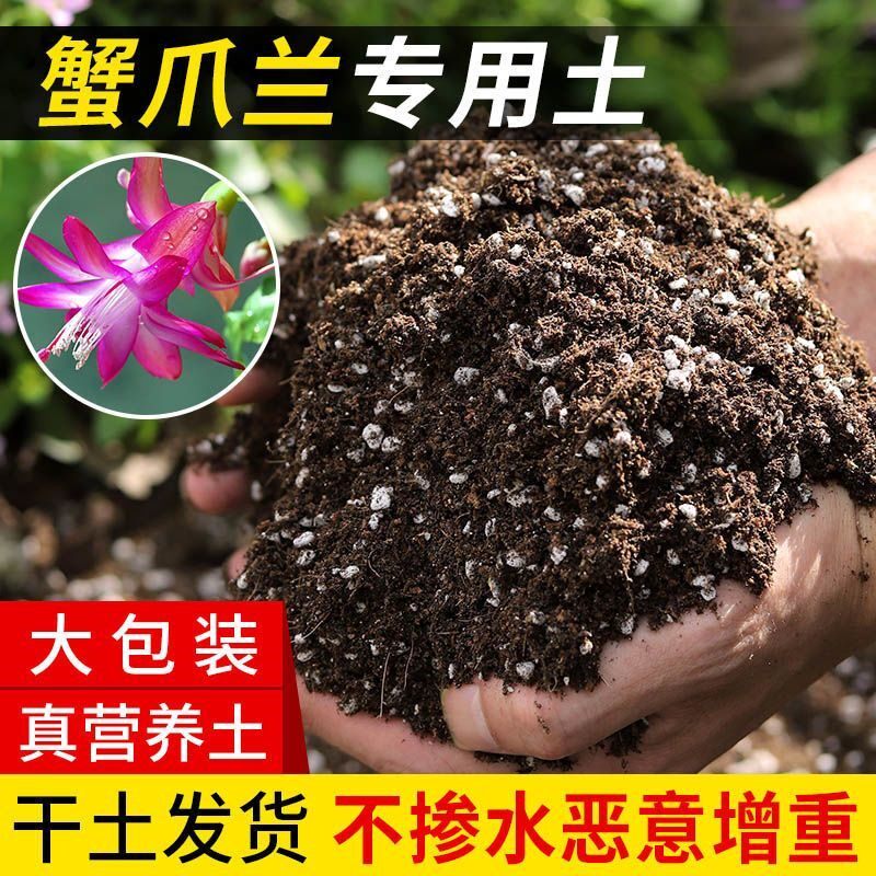 蟹爪兰专用营养土盆栽土疏松透气种植土阳台种花养花土室内绿植土