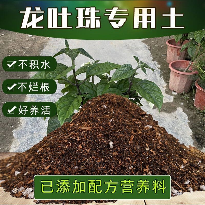 龙吐珠专用土腐殖土盆栽有机