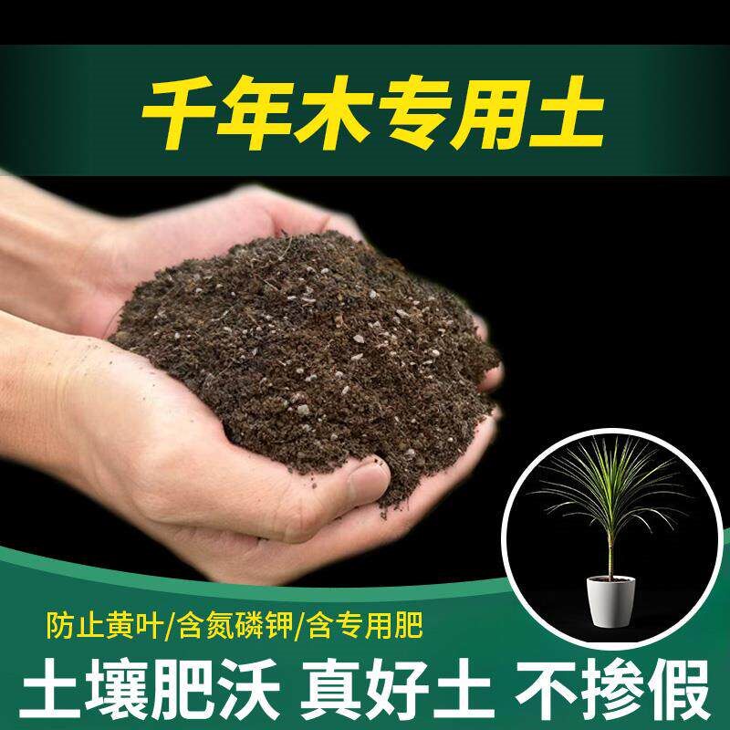 千年木专用土家庭通用型种植花草有机种菜花卉千年木专用营养土
