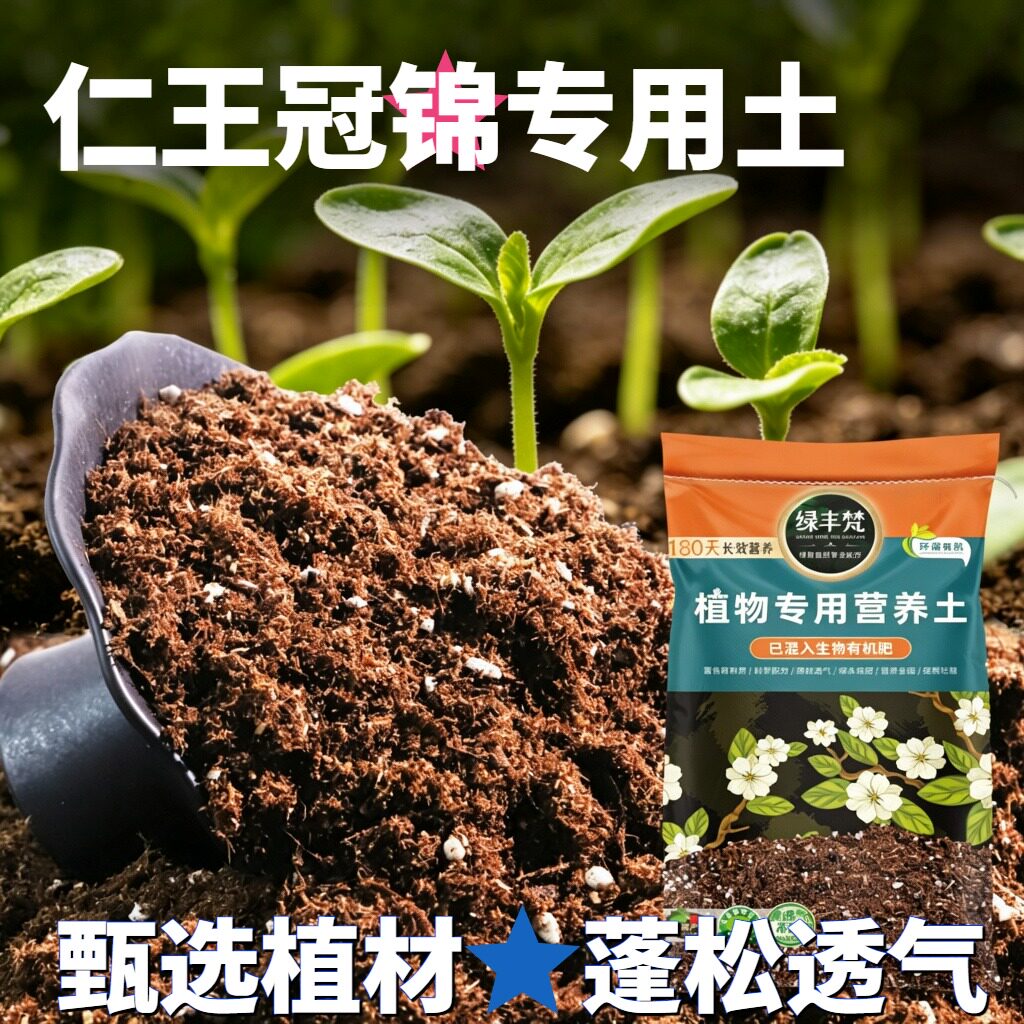 仁王冠锦适用花土不板结绿萝盆栽土杂质较少涵养养分家用装球根