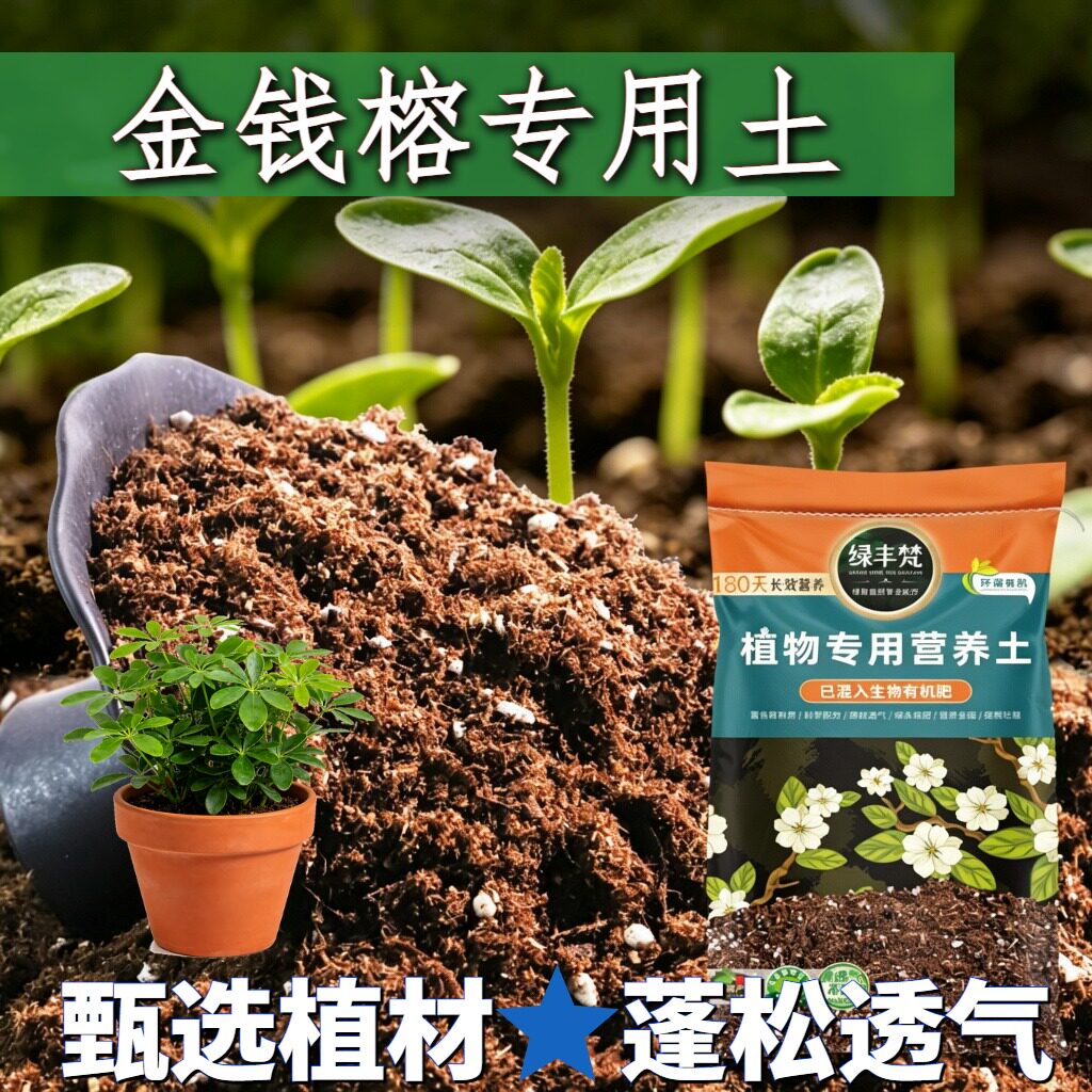 金钱榕适用土壤养分持久养花营养土优质留存肥力家用装观叶家用