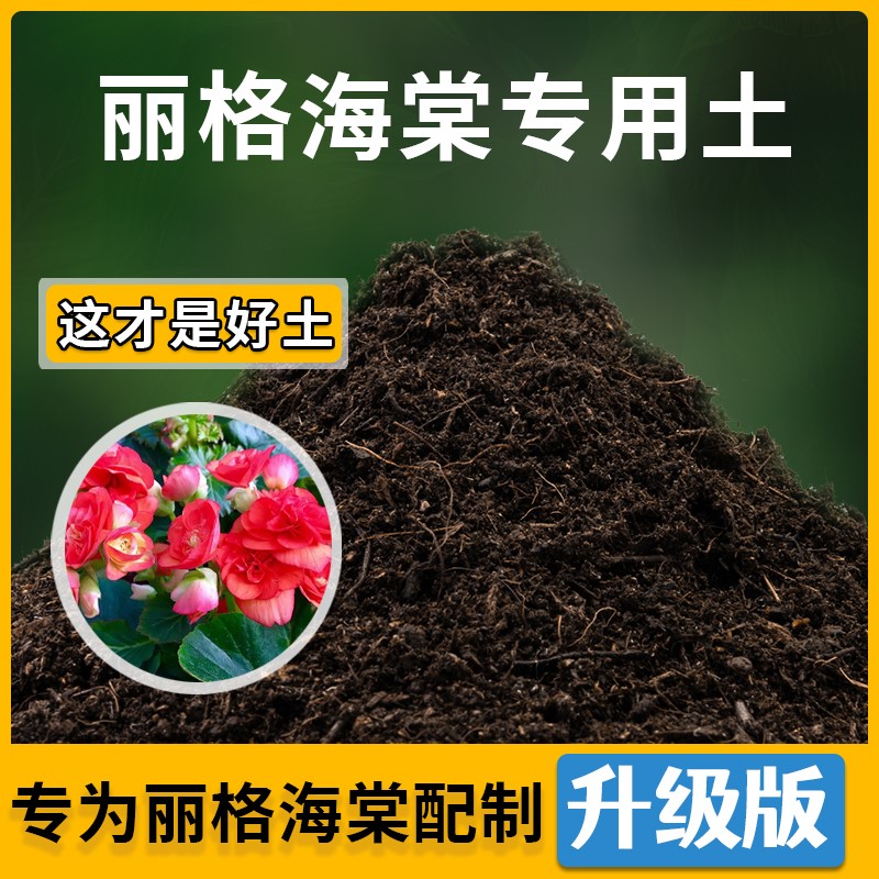 丽格海棠专用土家用种植土透气丽格海棠营养土盆栽种花养花有机土