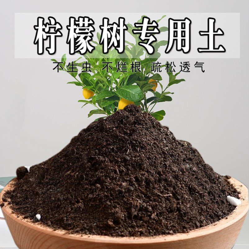 柠檬树专用土有机土果树土壤种植土柠檬树专用营养土家庭营养土