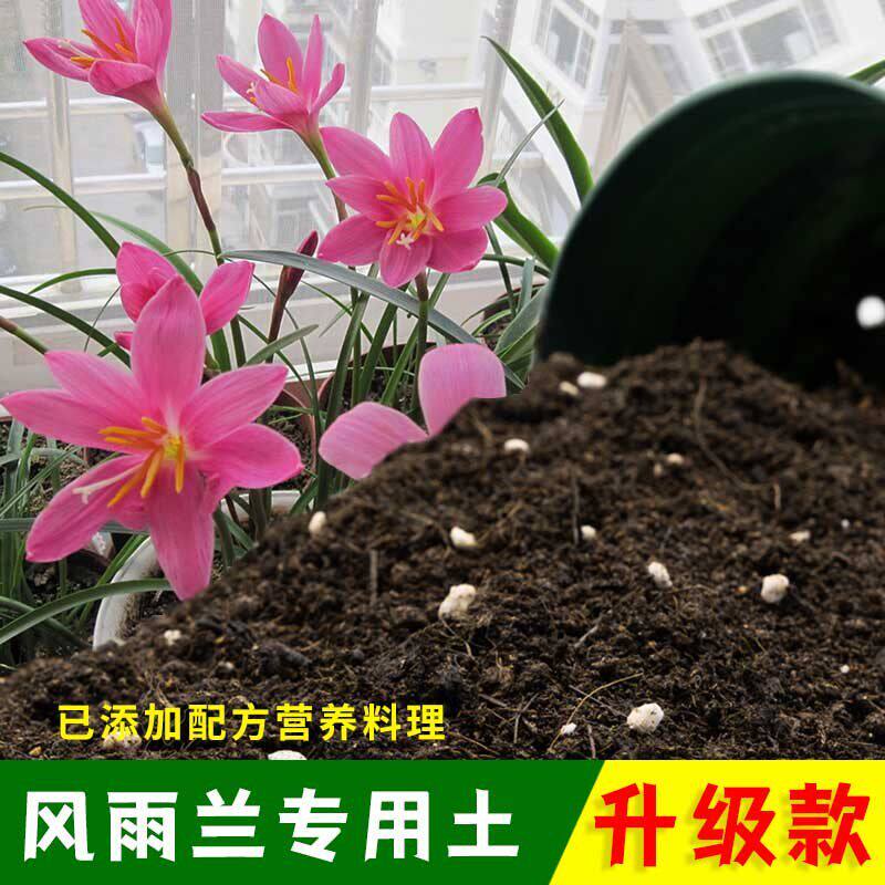 风雨兰专用土有机土肥料家用种植土风雨兰营养土盆栽养花通用包邮