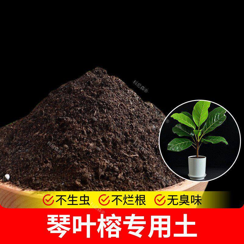 琴叶榕专用土营养土有机家用种花土养花专用土透气家庭疏松通用型