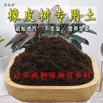 橡皮树专用土橡皮树专用营养土盆栽养花种植土壤肥料通用种花土培