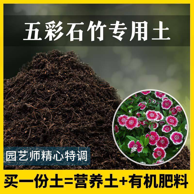 五彩石竹专用土家用养花有机土壤种植土石竹营养土植物种花盆栽土