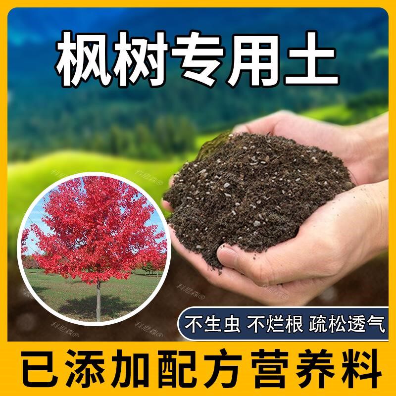 枫树专用土肥料枫树营养土蓬松种花透气养花家庭园艺花卉有机土图片
