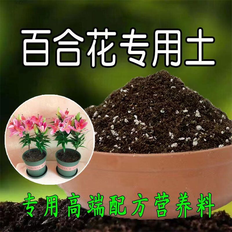 种百合花专用营养土百合花专用通用种球土泥土种花腐殖土壤种植土