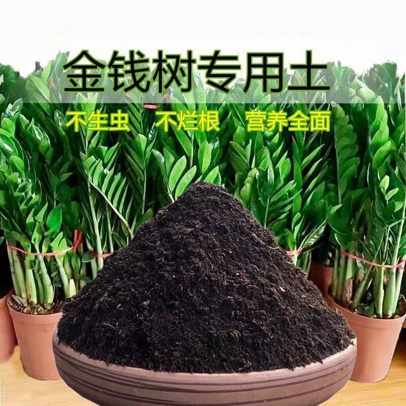 金钱树专用土金钱树营养土盆栽酸性有机肥料种植家用型种植包邮