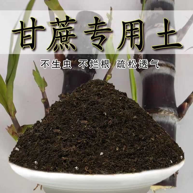 甘蔗专用土甘蔗苗专用营养土盆栽土养花种花土通用土种植土壤肥料