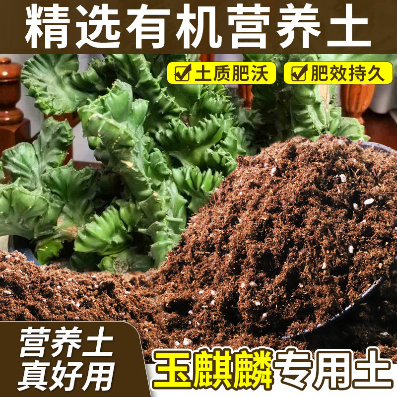 玉麒麟专用轻质园艺土盆栽土无杂草籽平衡土质试用装喜酸