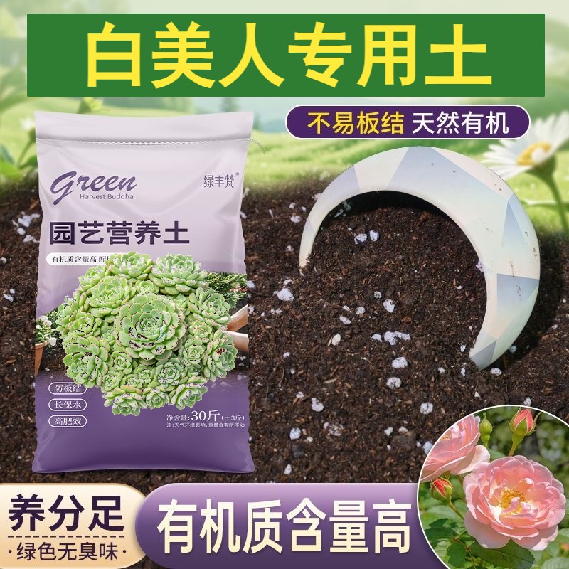 白美人专用种植土腐殖泥炭土盆栽泥炭基质精选绿叶木本菜园栽培土