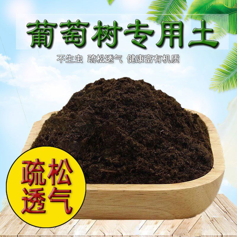 葡萄树专用营养土阳台盆栽草莓种植有机土壤通用型草莓营养土壤