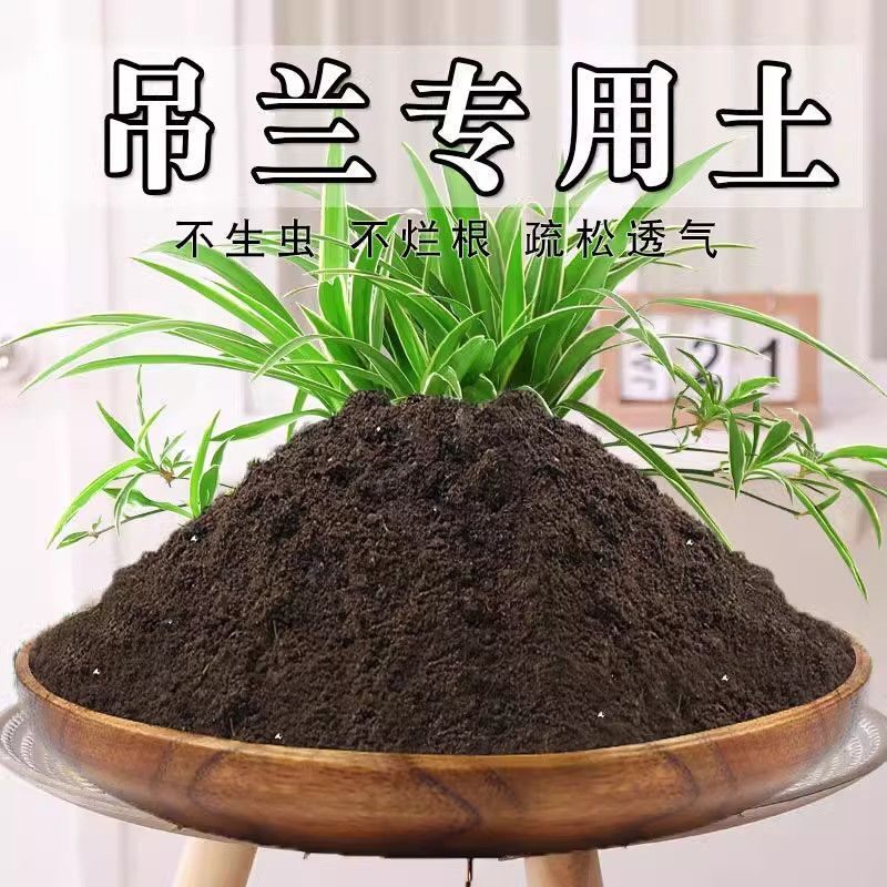 吊兰专用土吊兰土营养土盆栽通用养花土壤种花泥土种植土有机肥料