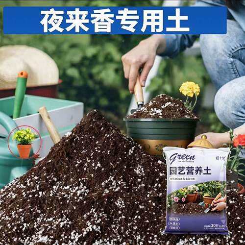 夜来香专用盆景土保水保肥根壮苗好菜园加有机肥天然促生长喜酸