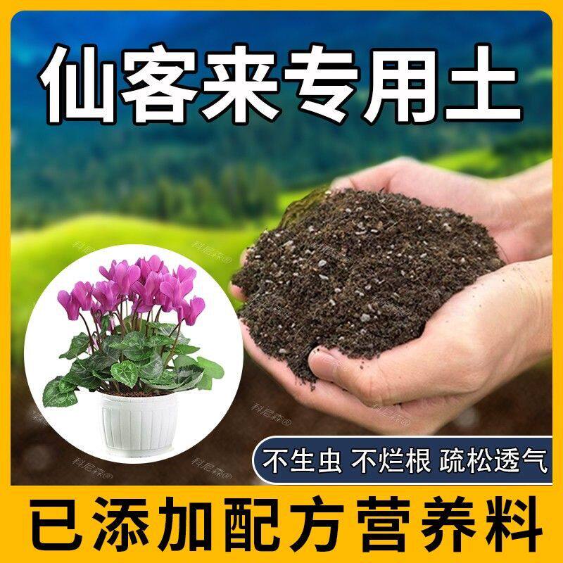 仙客来专用土肥料室内园艺泥土阳台花卉养花家庭仙客来营养土透气