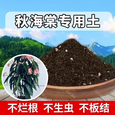 秋海棠专用土肥料秋海棠营养土盆栽土壤养花种植土绿植花卉有机土